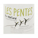 Saumur Les Pentes Clos de l'Écotard