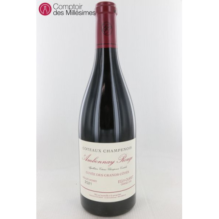 Coteaux Champenois Ambonnay rouge Grand Cru 2021 - Egly-Ouriet