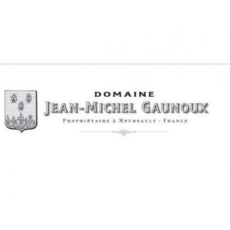 Jean Michel Gaunoux