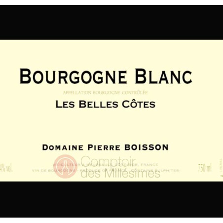 Bourgogne Blanc Les Belles Côtes vin de  Pierre Boisson