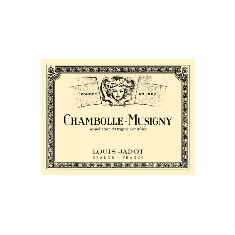 Chambolle Musigny En Magnum Louis Jadot