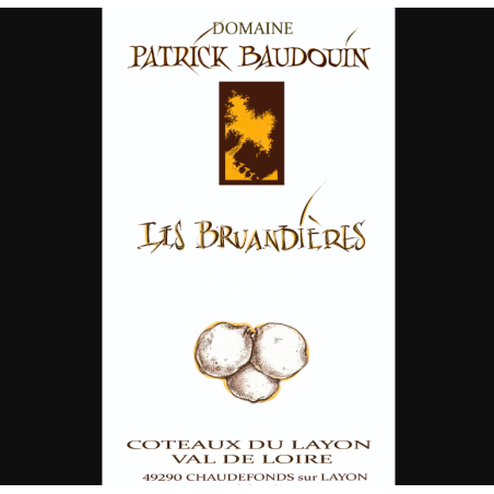 Coteaux du Layon Les Bruandières  Patrick Baudouin