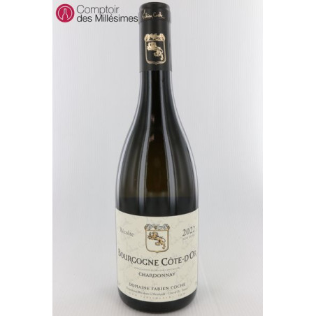 Bourgogne blanc 2022 Côte d'Or - Fabien Coche