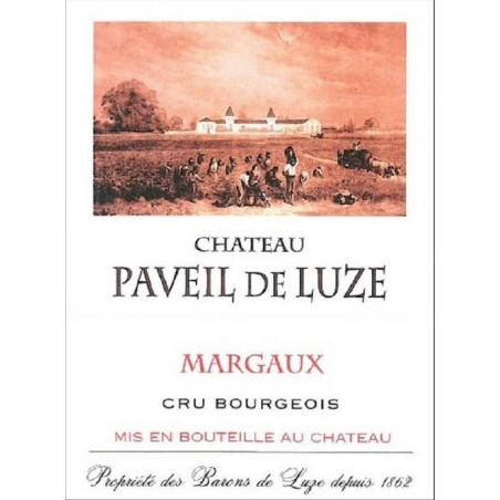 Chateau Paveil de Luze 2018