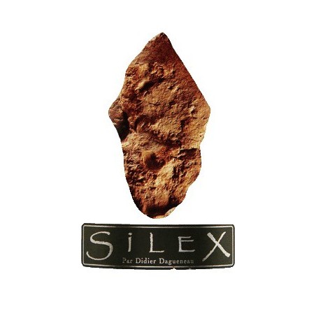 Silex 2014 - Didier Dagueneau