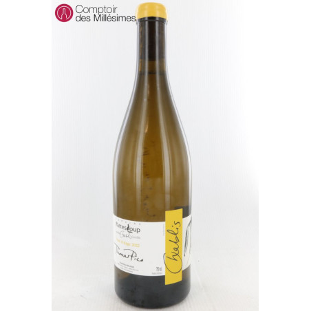 Chablis 2022 Vent d'Ange - Domaine Pattes Loup - Thomas Pico