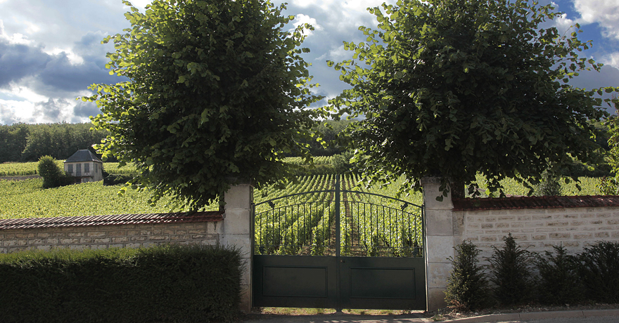 Domaine Patrice Rion