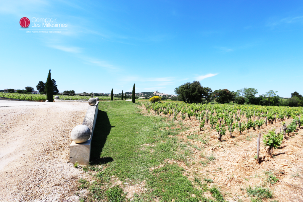 Vigne du domaine saint prefert rhone