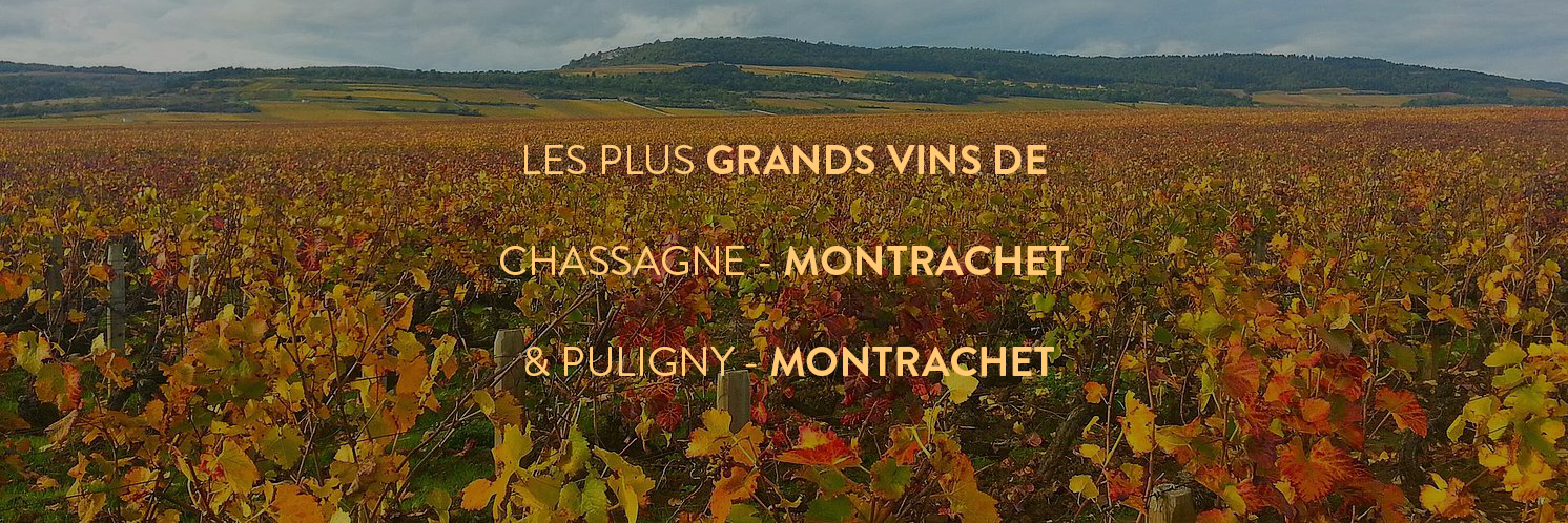 classement des meilleurs vins Puligny Montrachet et chassagne montrachet