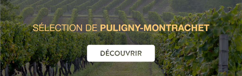 Acheter grands vins Puligny Montrachet au meilleur prix