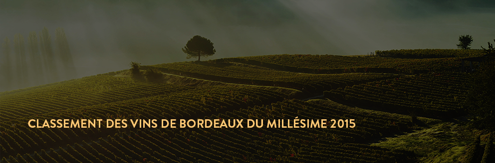 achat vin bordeaux 2015