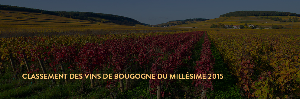 achat vin bourgogne 2015