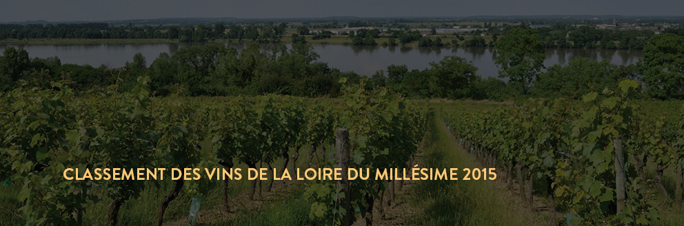 achat vin loire 2015