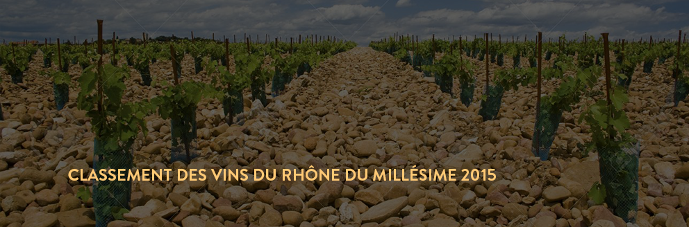 achat vin rhone 2015