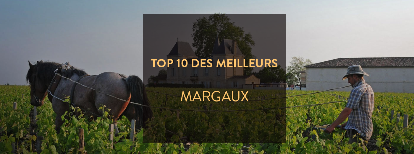 Meilleurs Millesimes des grands vins de l'AOC Margaux