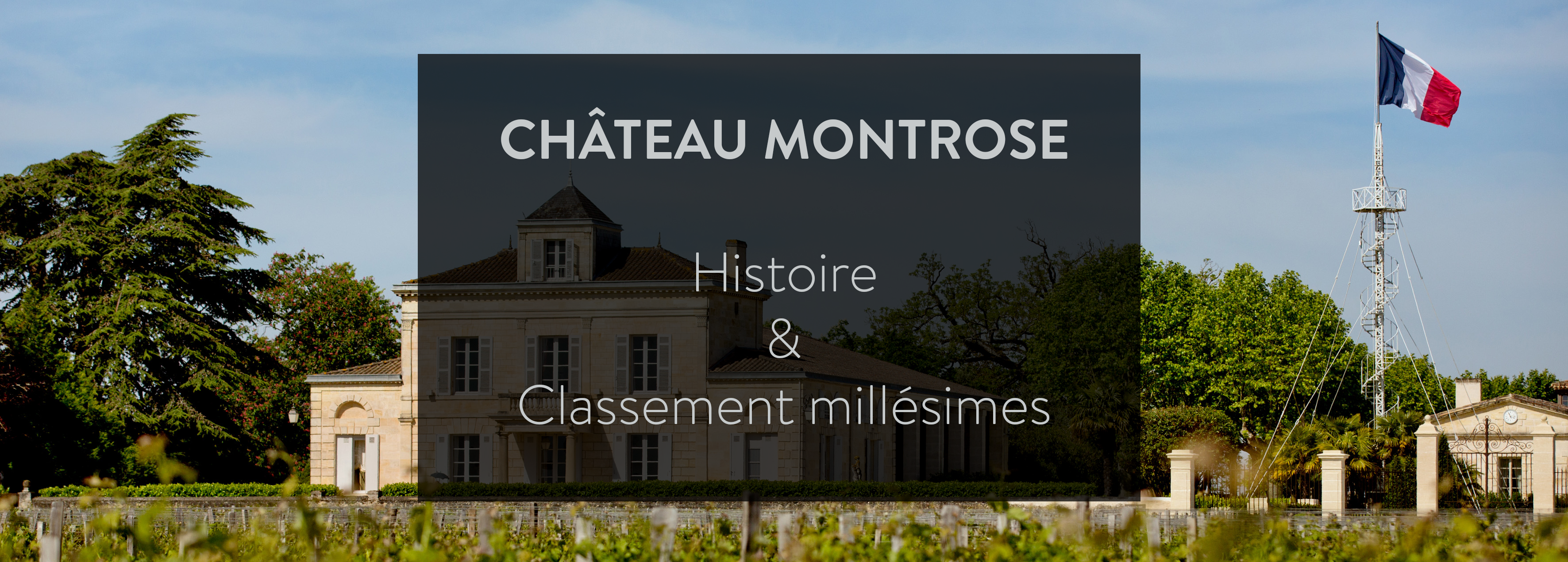 Achat grands crus chateau montrose meilleurs millesimes