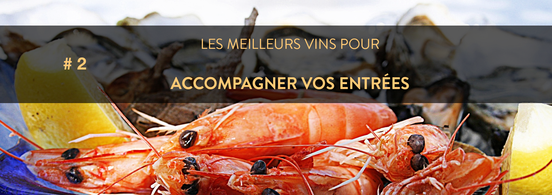 meilleurs vins pour accompagner l'entrée