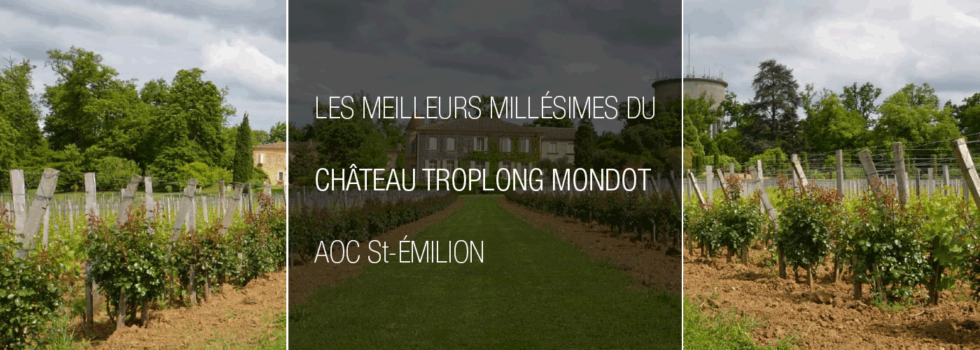 Meilleurs-millesimes-du-chateau-troplong-mondot,-achat-de-saint-emilion