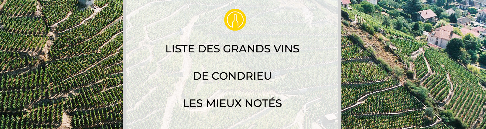 liste des vins les mieux notes a condrieu