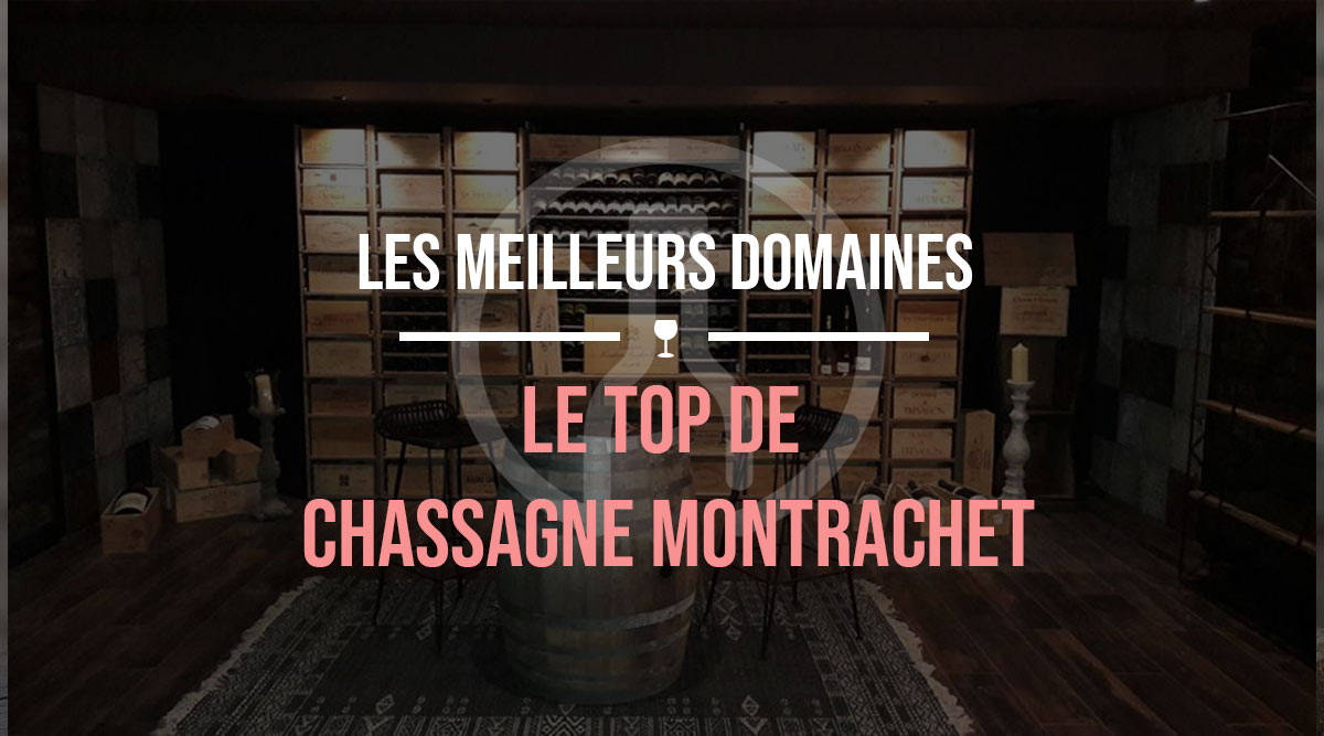 meilleurs domaines de chassagne