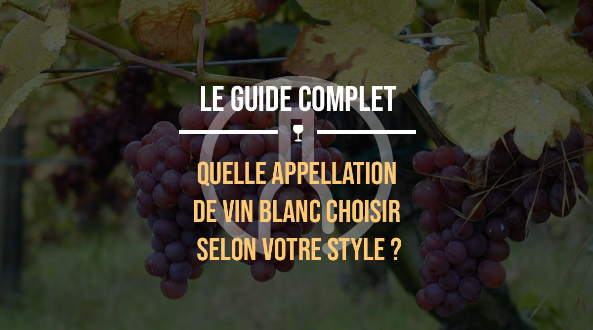 quelle-appellation-de-vin-blanc-choisir