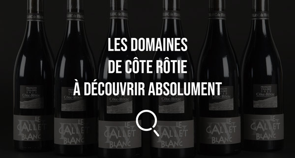 domaines montants de cote rotie