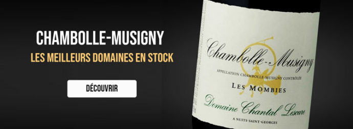 chambolle musigny meilleurs vins pour investir