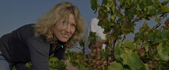 Isabel Ferrando - Domaine St Préfert