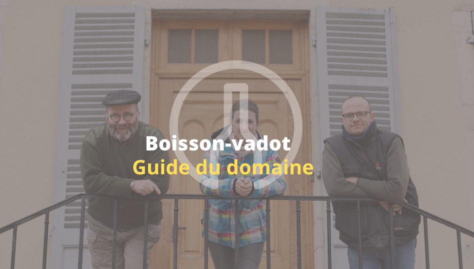 Boisson-Vadot