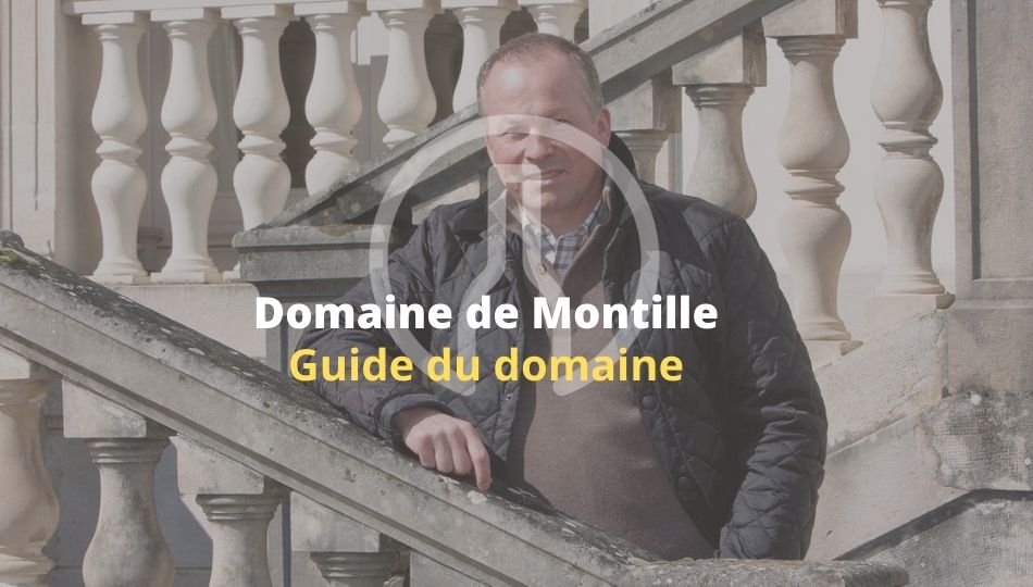 de Montille - Présentation-Cuvées