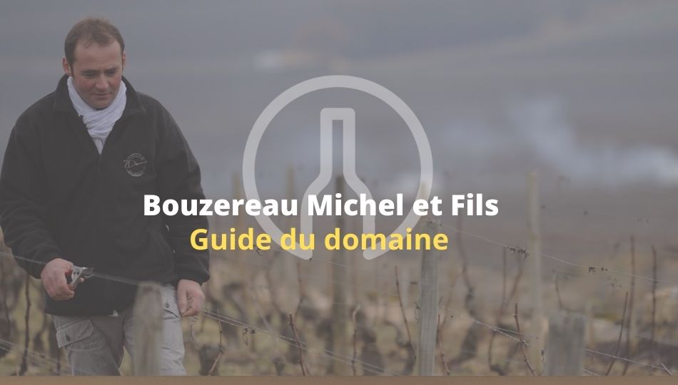 Bouzereau Michel et Fils-Guide-vin