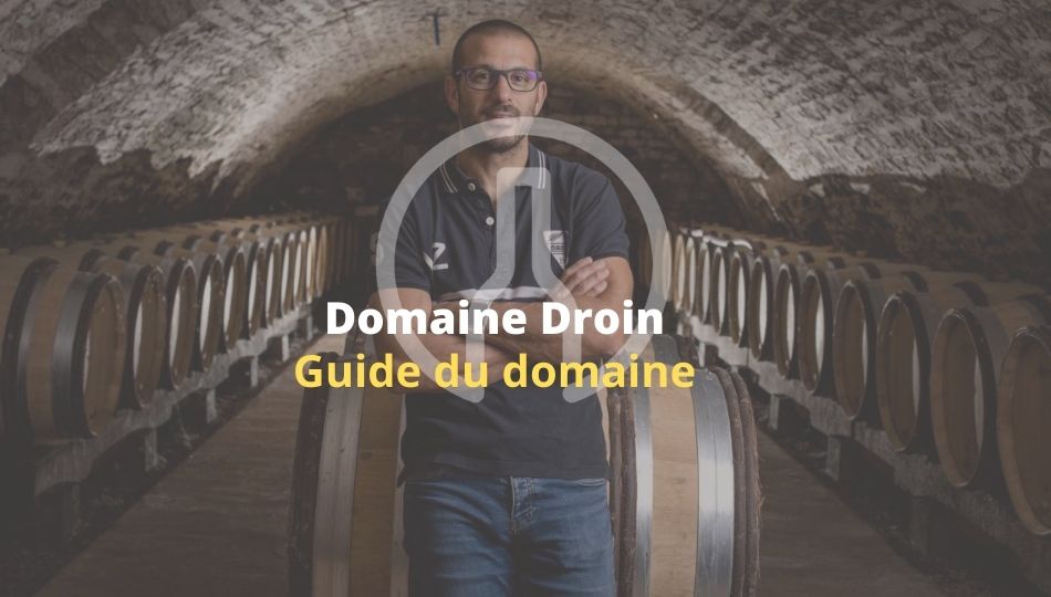 Domaine Droin Le Guide