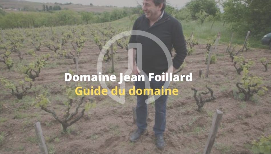 Jean Foillard-guide-vin