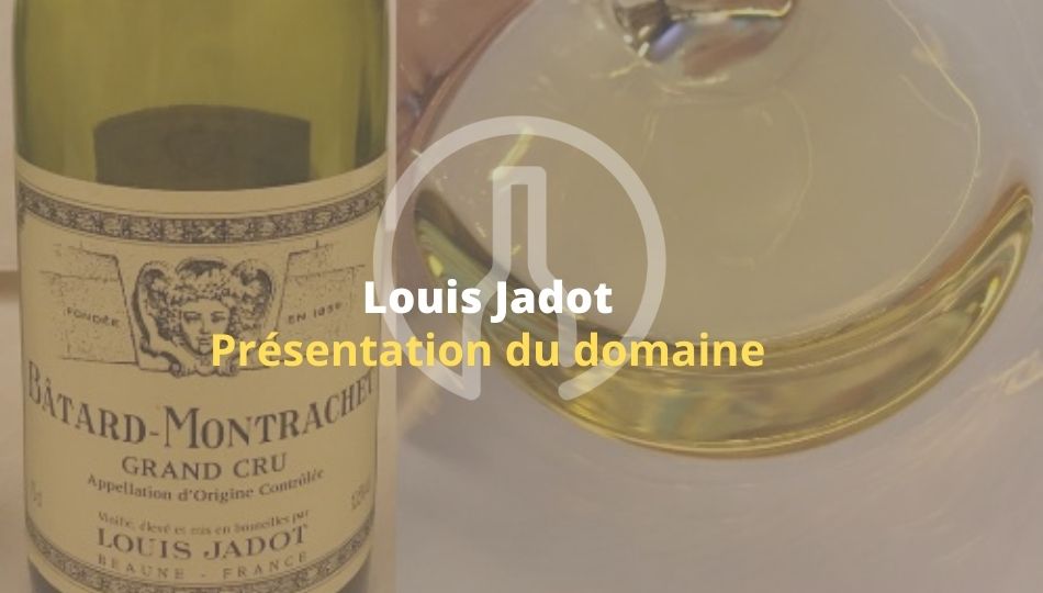 Louis Jadot -guide-vin