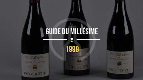 guide-vin-1999