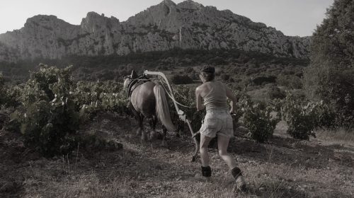 clos-des-fées-accord-met-et-vin