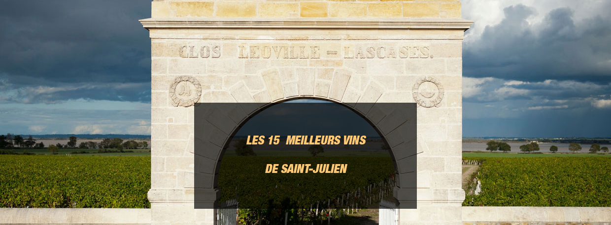 meilleur-vin-saint-julien