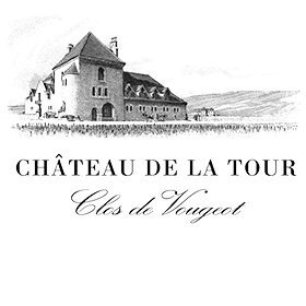 Achat vin chateau de la tour