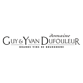 achat vin guy et yvan dufouleur